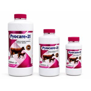 Pyocare-21