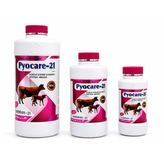 Pyocare-21