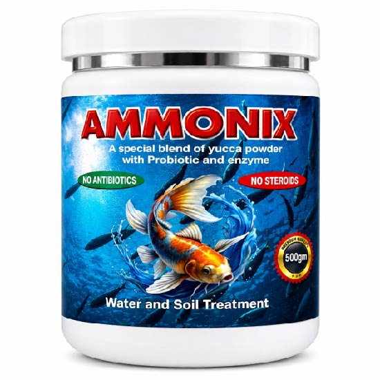 Ammonix