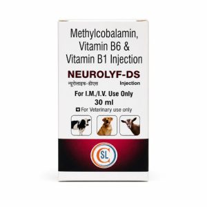 Neurolyf-DS